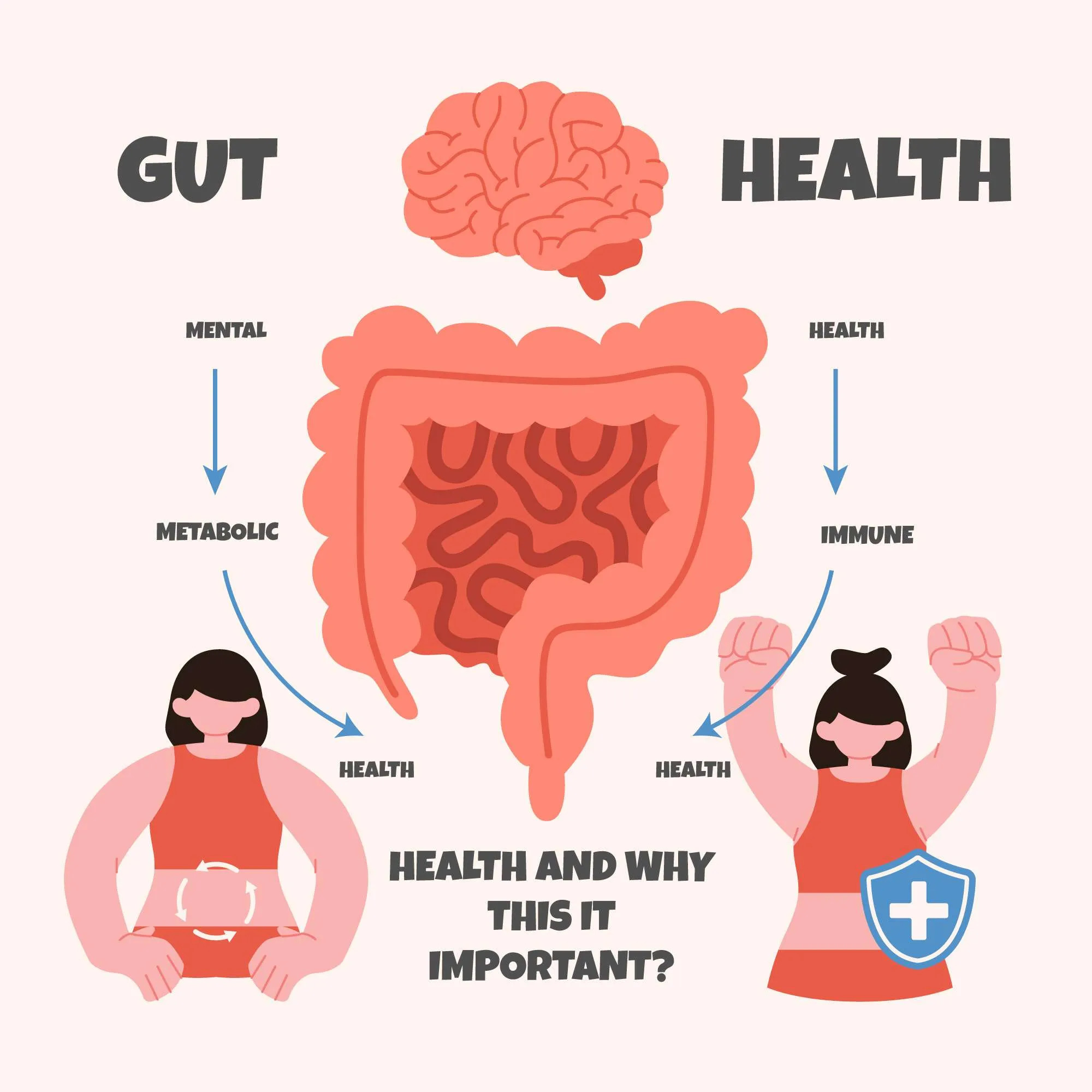 Gut Health and Its Impact on Your Overall Well-being